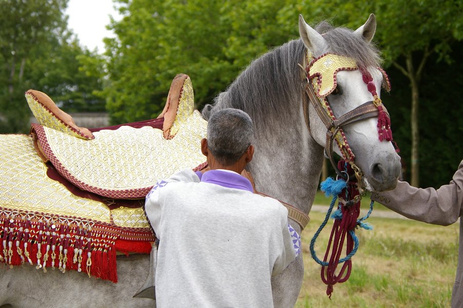 Preparation de la fantasia: Preparatoin pour la fantasia 119